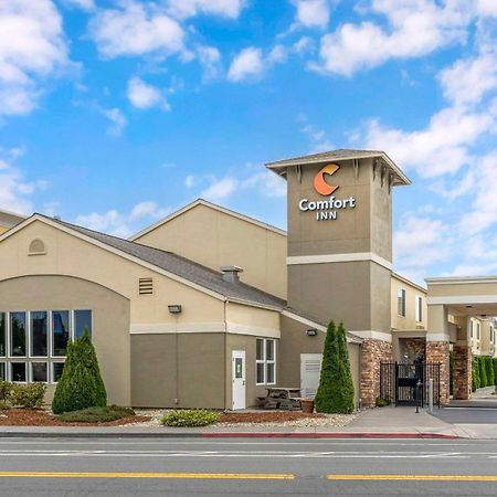 Comfort Inn Arcata Eksteriør bilde